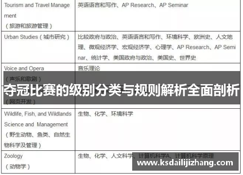 夺冠比赛的级别分类与规则解析全面剖析