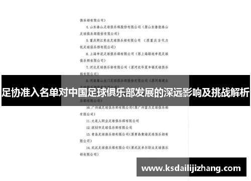 足协准入名单对中国足球俱乐部发展的深远影响及挑战解析